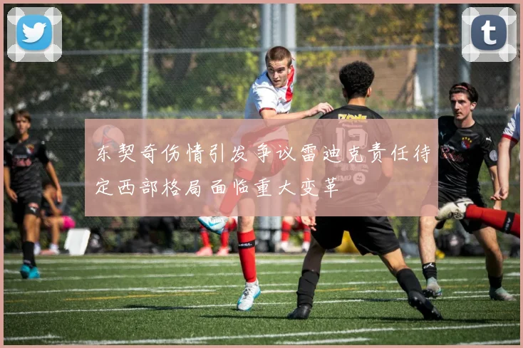 东契奇伤情引发争议雷迪克责任待定西部格局面临重大变革
